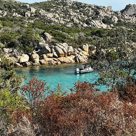 Mini Corse Du Sud U Re D Alzetu Lecci