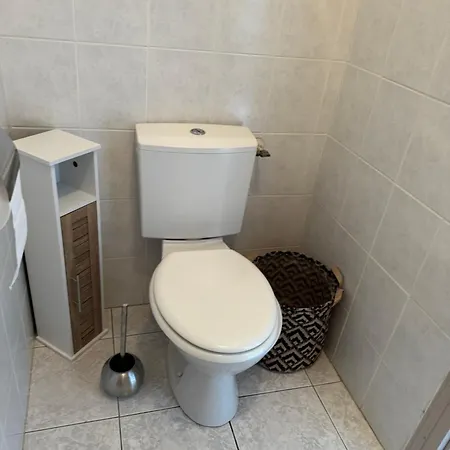 Mini Corse Du Sud U Re D Alzetu * Lecci