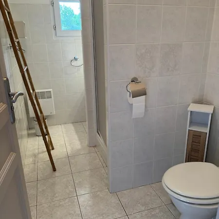 Mini Corse Du Sud U Re D Alzetu * Lecci