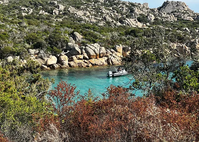 Mini Corse Du Sud U Re D Alzetu Lecci