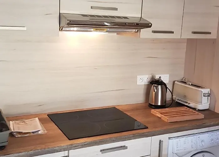 Mini Corse Du Sud U Re D Alzetu * Lecci