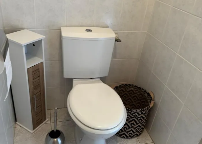 Mini Corse Du Sud U Re D Alzetu * Lecci