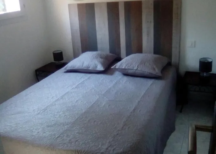 Mini Corse Du Sud U Re D Alzetu * Lecci