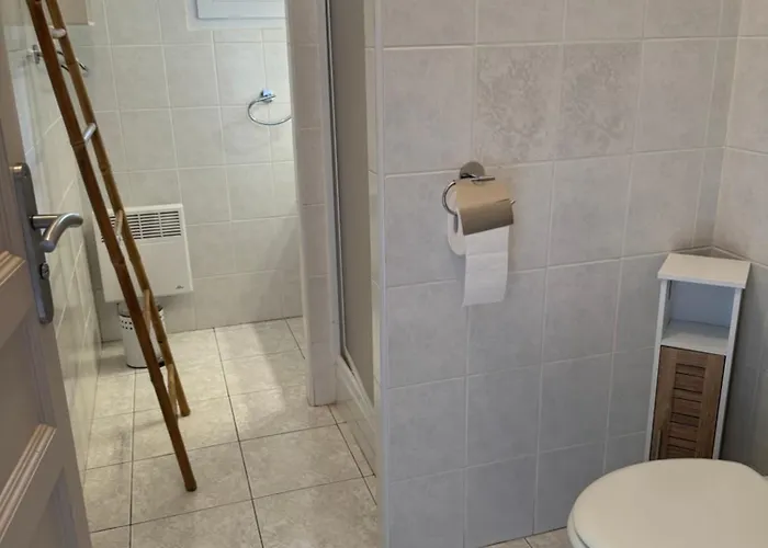 Mini Corse Du Sud U Re D Alzetu * Lecci